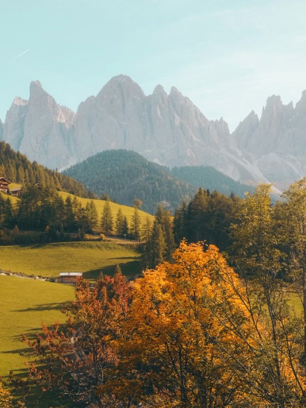 natures-02 Natures 02